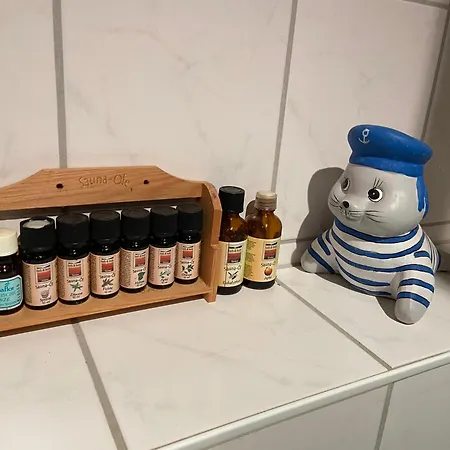 Haus Mit Sauna, Garten Und Pool Sangerhausen